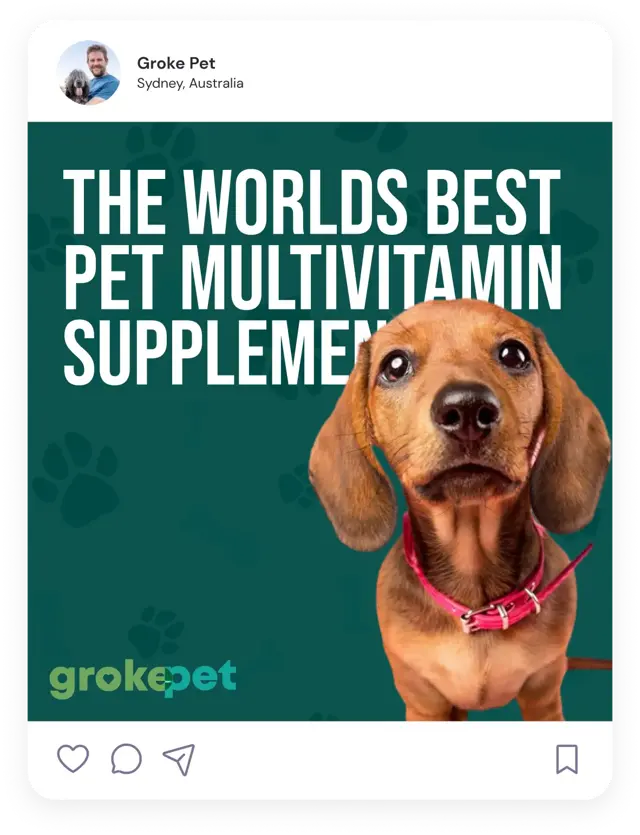 Social media post for Groke-Pet