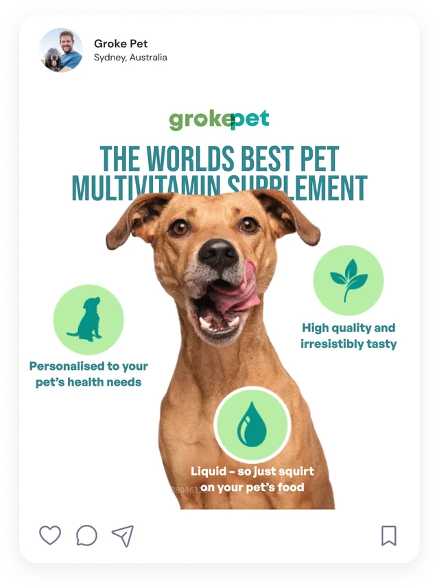 Social media post for Groke-Pet