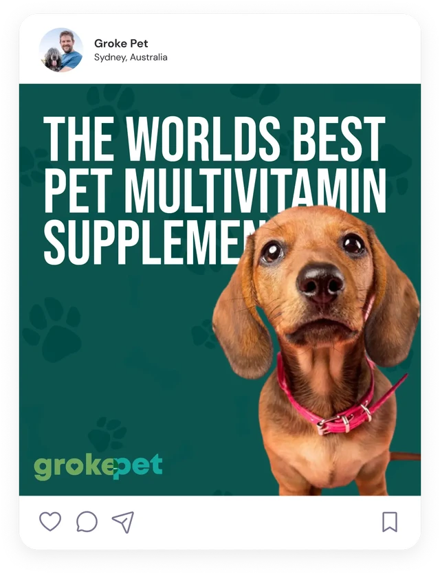 Social media post for Groke-Pet